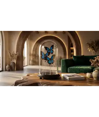 Papillons Bleus sous Cloche en Verre —  Décoration Luxury | Maison Imperiale