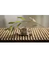 Teapot-to-Cup Filter 1 —  Decoration Luxury | Maison Imperiale