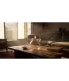 Small Thermal-Resistant Glass Teapot —  Decoration Luxury | Maison Imperiale