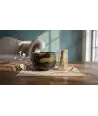 Set Matcha | Tazza Verde, Fouet e Cucchiaio — Decorazione Luxury | Maison Imperiale