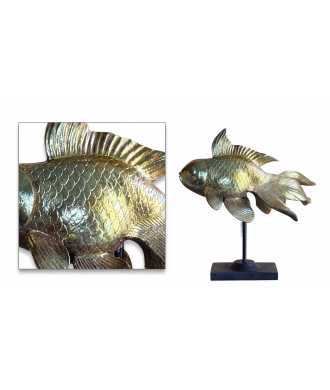 Big Sinuous Gold Fish