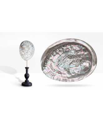 Silver Abalone Midae Shell 6 —  Decoration Luxury | Maison Imperiale