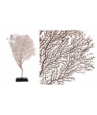 Gorgone Corallo Medio 5 — Decorazione Luxury | Maison Imperiale