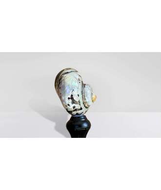 Coquille Turbo Sarmaticus 5 —  Décoration Luxury | Maison Imperiale