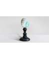 Coquille Turbo Verte du Madagascar 3 —  Décoration Luxury | Maison Imperiale