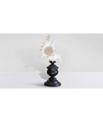 Low Baroque Murex Ramosus Shell 3 —  Decoration Luxury | Maison Imperiale