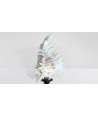 Low Baroque Murex Ramosus Shell 5 —  Decoration Luxury | Maison Imperiale