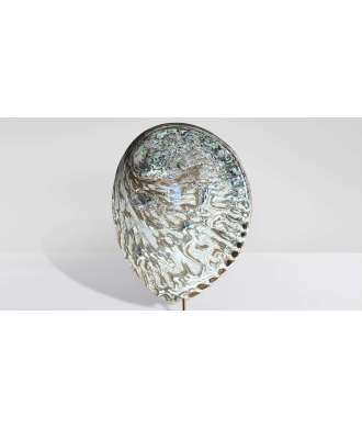 Coquille Abalone Midae Argentée 4 —  Décoration Luxury | Maison Imperiale