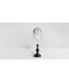 Silver Abalone Midae Shell 3 —  Decoration Luxury | Maison Imperiale