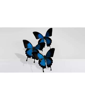 Blue Butterfly Glass Dome Décor 5 —  Decoration Luxury | Maison Imperiale