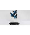 Blue Butterfly Glass Dome Décor 4 —  Decoration Luxury | Maison Imperiale