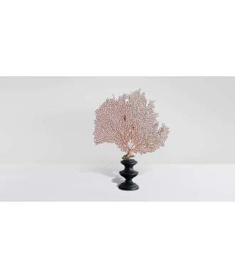Gorgone Corail Petite 3 —  Décoration Luxury | Maison Imperiale
