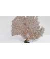 Gorgone Corail Petite 4 —  Décoration Luxury | Maison Imperiale