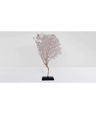 Gorgone Corail Moyen 3 —  Décoration Luxury | Maison Imperiale
