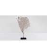 Gorgone Corail Moyen 3 —  Décoration Luxury | Maison Imperiale